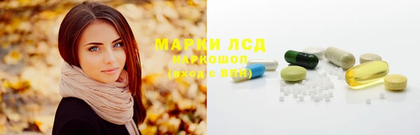 гидра Аркадак