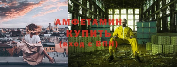 гидра Аркадак